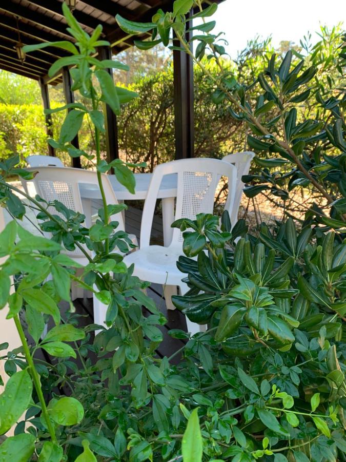 Cabañas del Este Sauce de Portezuelo Exterior foto