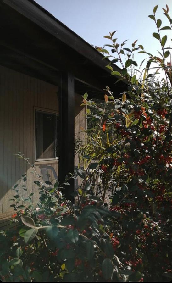 Cabañas del Este Sauce de Portezuelo Exterior foto